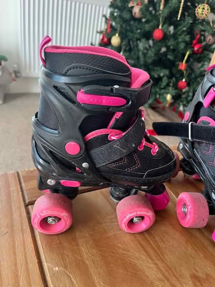 Photo of free Roller skates (West Leigh) #1