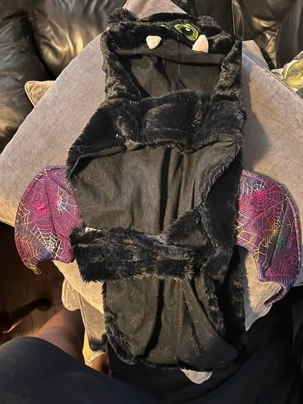 Photo of free Dog Halloween Costume (BR1) #1