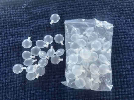 Photo of free Squeakers (Belle mead) #1