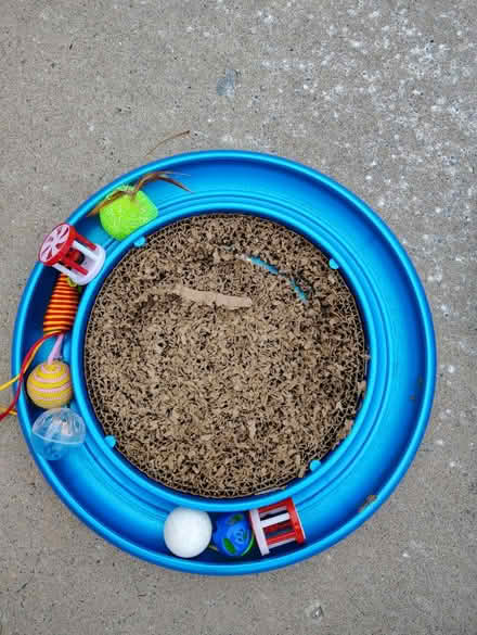 Photo of free Cat tunnels, toys, tree (NE Heights: Juan Tabo - Menaul) #1