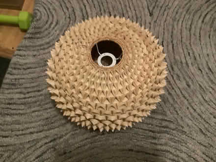 Photo of free Main light shade (Overslade CV22) #1