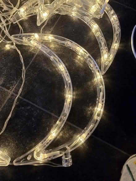 Photo of free Christmas lights (Wincobank S9) #2