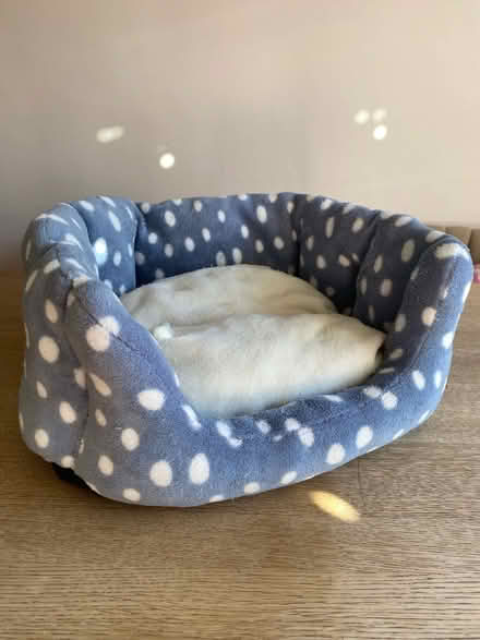 Photo of free Cat bed (Weston) #1