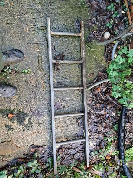 Photo of free steel ladder (Woodingdean BN2) #1