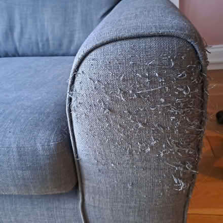 Photo of free 2 Seater Sofa (Redfield BS5) #2