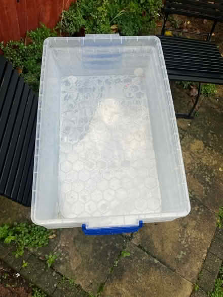 Photo of free 6 x 43litre storage boxes with lids (Herne Hill SE24) #4