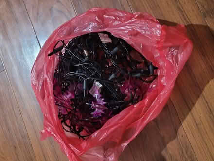 Photo of free Christmass light (Whispering Hills Mobile Home) #4