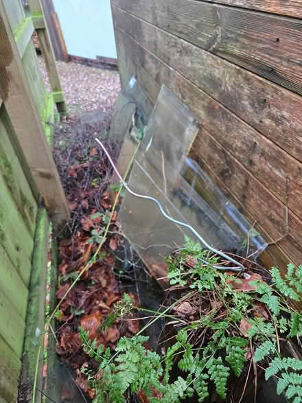Photo of free Greenhouse glass (Lower Hartshay DE5) #2