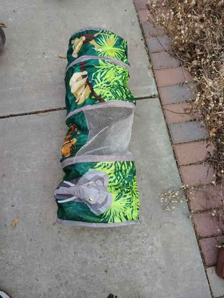 Photo of free Cat tunnels, toys, tree (NE Heights: Juan Tabo - Menaul) #2