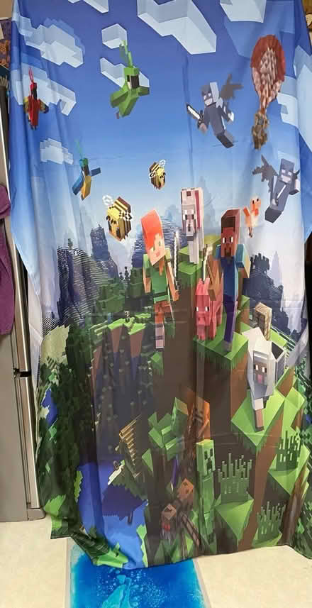 Photo of free Minecraft wall hanging (El Camino and Lawrence) #1