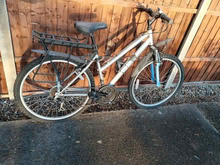 Photo of free Ladies Apollo bicycle (Amersham HP7) #1