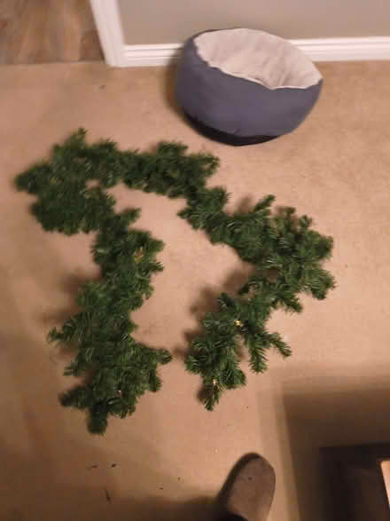 Photo of free Pine garland (Barnard's Green WR14) #1