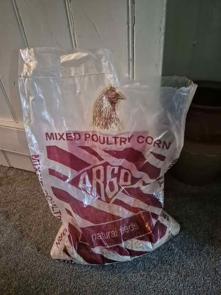 Photo of free Chicken Feed (Whittle Hill NE61) #2