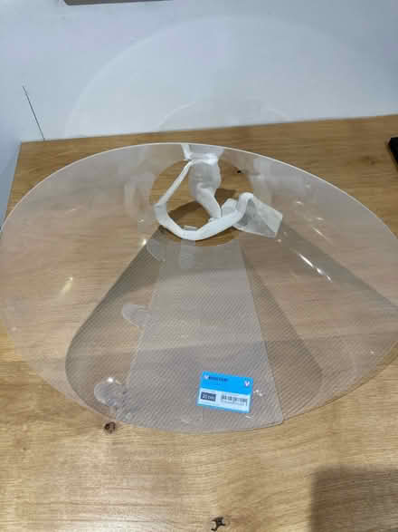 Photo of free Buster dog collar (Hasting TN34) #1