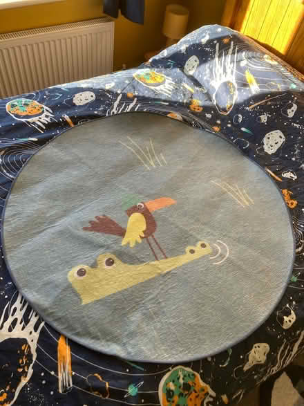Photo of free Kids rug (Maldon CM9) #1