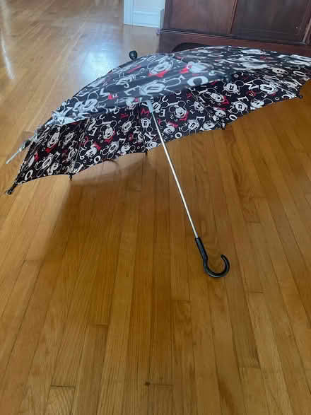 Photo of free Mickey Mouse umbrella (Beacon Hill) #1