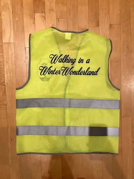 Photo of free High Visibility vest lightweight (Crystal Beach) #1