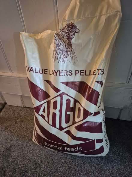 Photo of free Chicken Feed (Whittle Hill NE61) #3