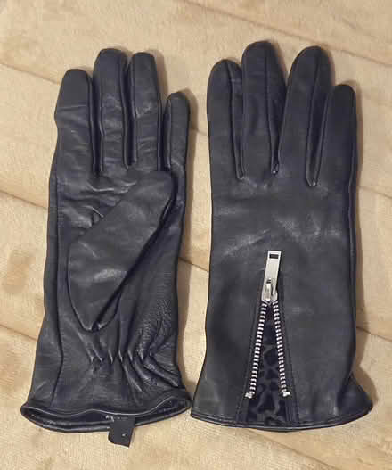 Photo of free Ladies Small Gloves nearly new (Euxton PR7) #1