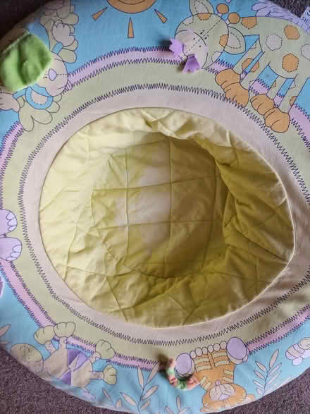 Photo of free Baby seat (Layer-de-la-Haye CO2) #2