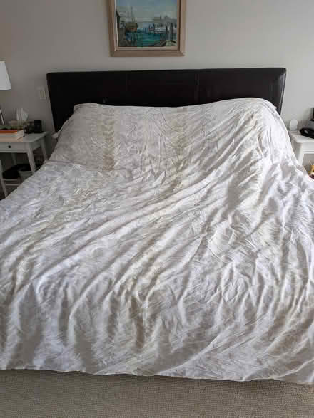 Photo of free King steel bed frame, headboard (Old Ottawa south) #3
