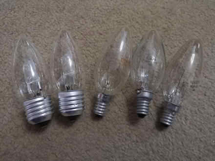 Photo of free Large and small screw bulbs (City Point DE24) #1