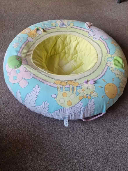 Photo of free Baby seat (Layer-de-la-Haye CO2) #3