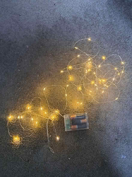 Photo of free Fairy lights (Bonnyrigg EH19) #1
