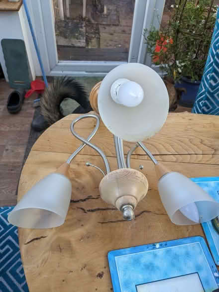 Photo of free Ceiling light (Lake End SL6) #3