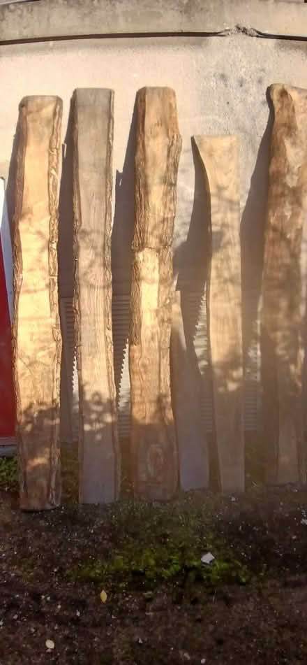 Photo of free 3m lengths of bark on wood (BS2 feeder road) #1