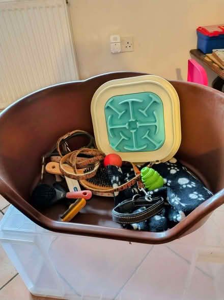 Photo of free Dog bed, etc (Brize Norton OX18) #1