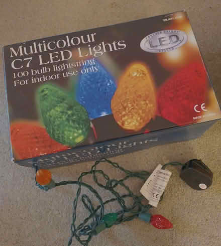 Photo of free LED Christmas lights, 100 bulbs, for indoor use (Woodheys Parks M33) #1