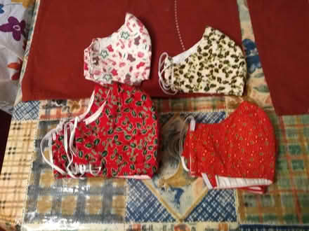 Photo of free Christmas facemasks- medium (Bearwood BH11) #1