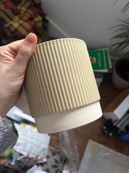 Photo of free Plant pot (Stanway, CO3) #1