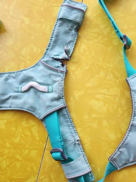 Photo of free Size M dog harness - needs mending (Maple Leaf / Northgate) #3