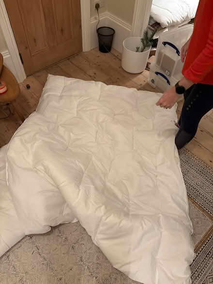 Photo of free Duvets (Finsbury Park, London, N4) #2