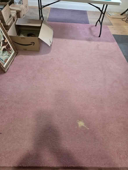 Photo of free 3 area rugs, fair condition (Wellington village) #1