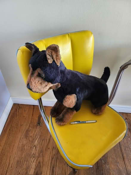 Photo of free Med/Large Dog stuffy (Maple Leaf / Northgate) #1