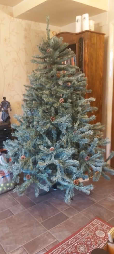 Photo of free Christmas tree. (Chatham ME5) #1