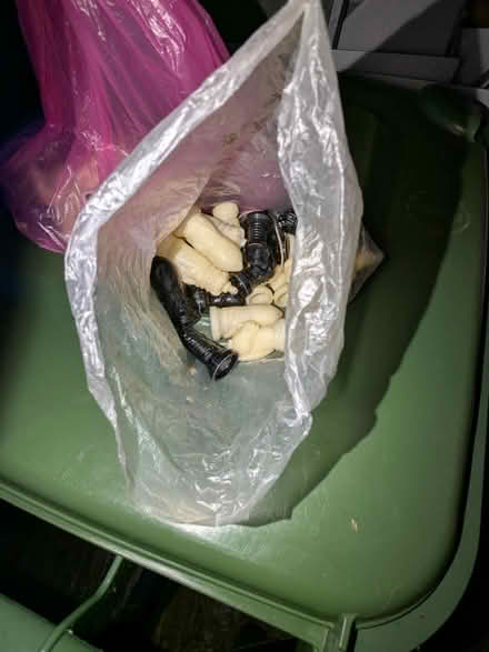 Photo of free chess pieces (Lambridge Larkhall Bath) #1