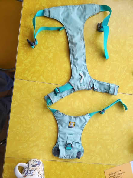 Photo of free Size M dog harness - needs mending (Maple Leaf / Northgate) #1