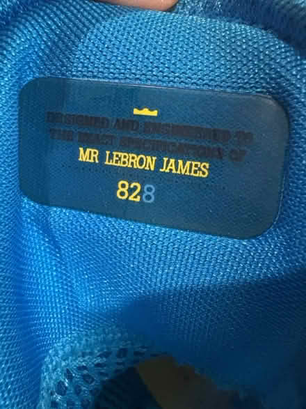 Photo of free Nike LeBron James sneakers sz 9 (Union, NJ) #3