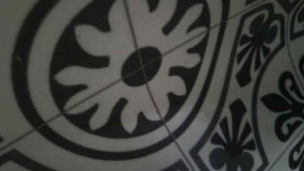 Photo of free to a Good Home: Vinyl Flooring Offcuts & Hallway Carpet (Bridge of Allan FK9) #4