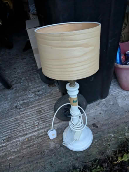 Photo of free lamp (Lambridge Larkhall Bath) #2