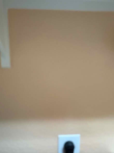 Photo of free Interior paint (Val Vista & University, Mesa) #3