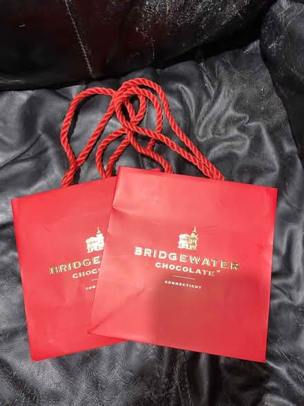 Photo of free Festive Gift Bags (Ridgefield, CT) #1