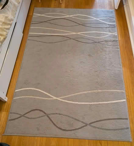 Photo of free Gray area rug (Manor Park, Washington, DC) #1