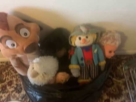 Photo of free So many soft toys (Harrietsham ME17) #1