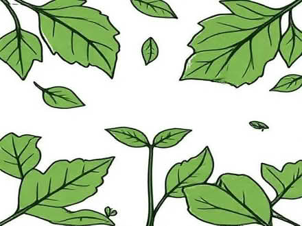 Photo of free Leaves for composting (Willington DL15) #1