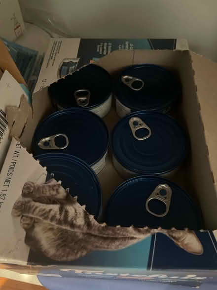 Photo of free wet cat food (Broadview/East York) #2